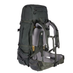 FJÄLLRÄVEN Fjällräven KAJKA 65 W Damen Trekkingrucksack Damen FOREST GREEN -Lager Flair Verkaufsgeschäft 5637513835 d kajka 65 w fjaellraeven 24