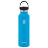 Hydro Flask 21 OZ STANDARD FLEX CAP Trinkflasche PACIFIC -Lager Flair Verkaufsgeschäft 5637783684 a 21 oz standard flex cap hydro flask 24