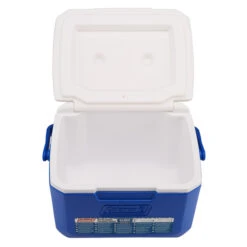 Coleman 5 QT PERFORMANCE 6 PERSONAL COOLER Kühlbox BLAU/WEISS -Lager Flair Verkaufsgeschäft 5637813868 i fliplid 6 coleman 24