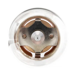 Fire-Maple ORANGE GASLAMPE Laterne NOCOLOR 8 Fire-Maple ORANGE GASLAMPE Laterne NOCOLOR -Lager Flair Verkaufsgeschäft 5637895373 d orange gaslampe firemaple 24