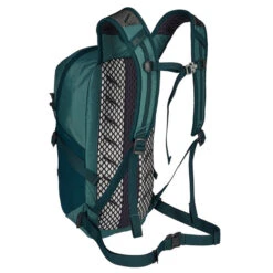 Jack Wolfskin CYROX SHAPE 15 Tagesrucksack JADE GREEN -Lager Flair Verkaufsgeschäft 5638091259 d cyrox shape 15 jack wolfskin 24