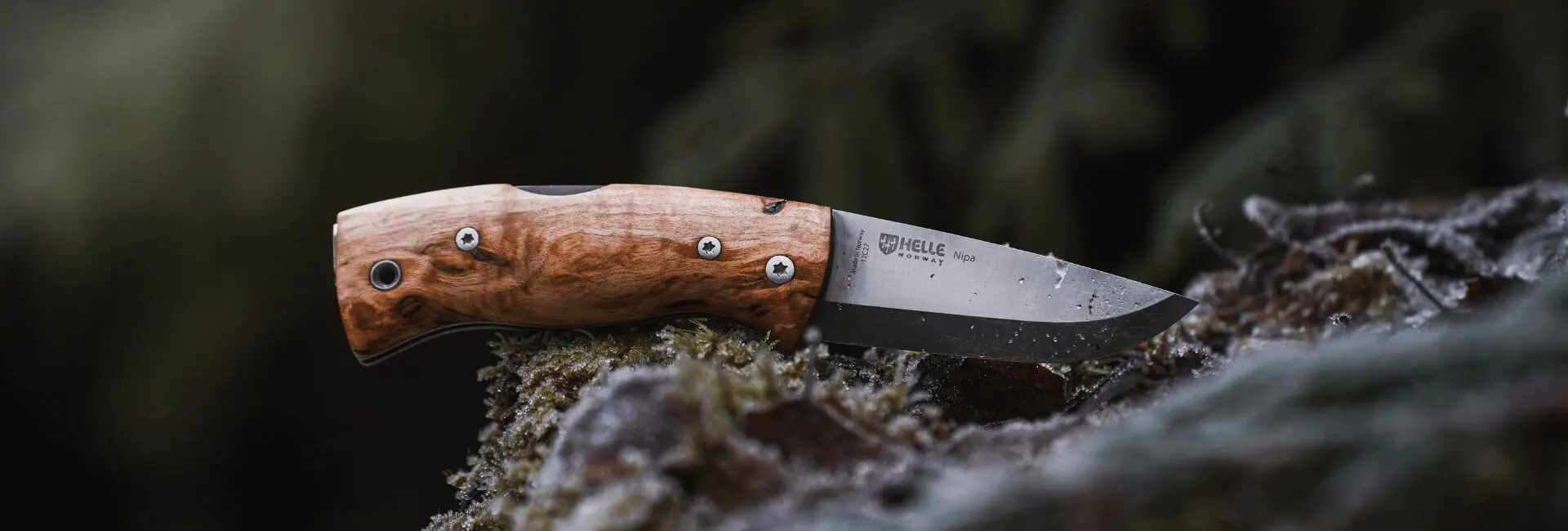 Lager Flair Verkaufsgeschäft -Lager Flair Verkaufsgeschäft 5 14